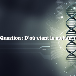 Question : D’où vient le mohair ?